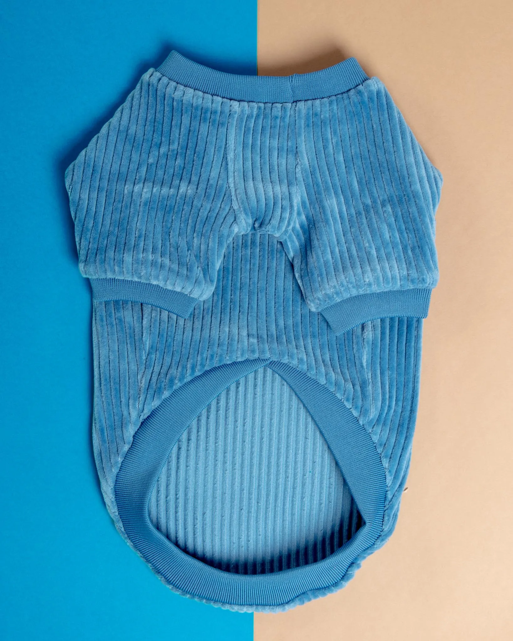 Amber Dog Tee in Sky Blue (FINAL SALE)