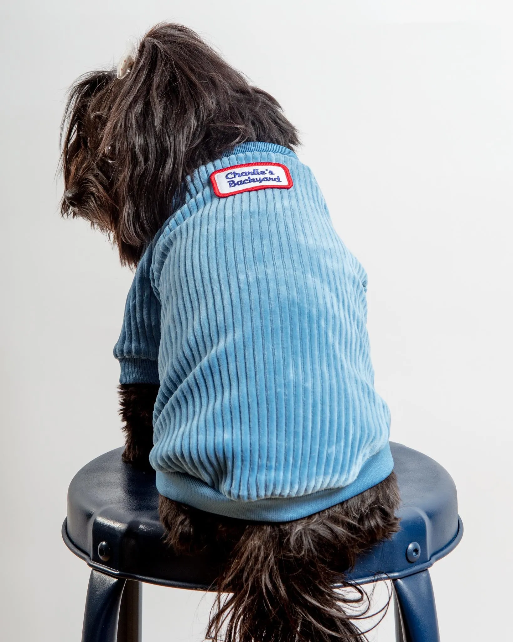 Amber Dog Tee in Sky Blue (FINAL SALE)