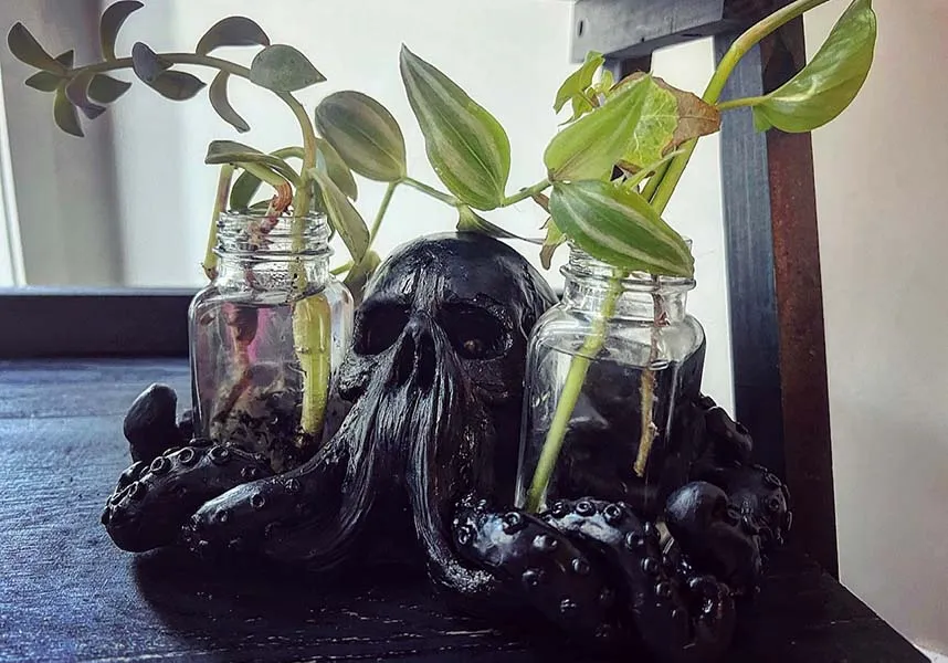 Black Octoskull | SALT & PEPPER HOLDER