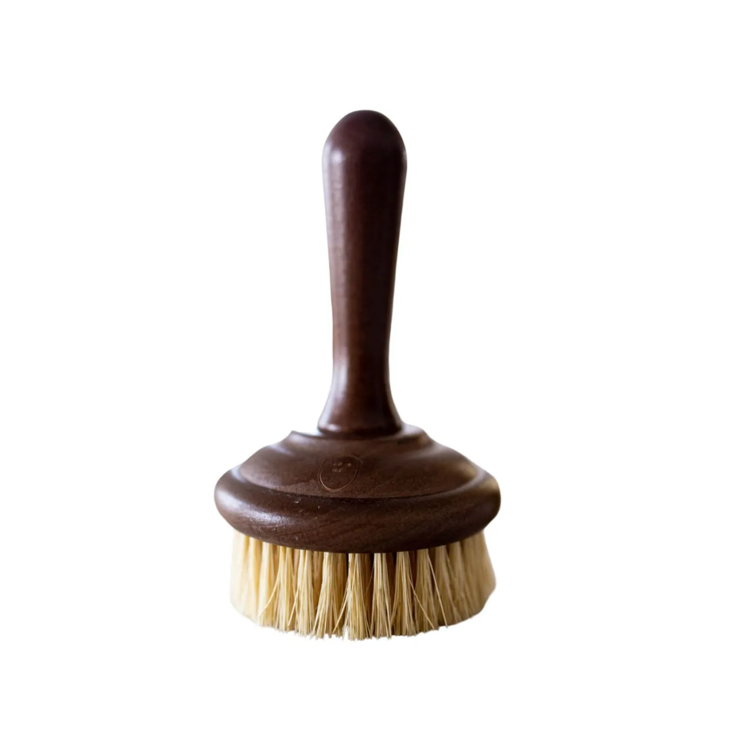 Dish Soap Brush