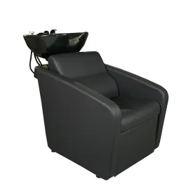 Gravity Shampoo Backwash Unit