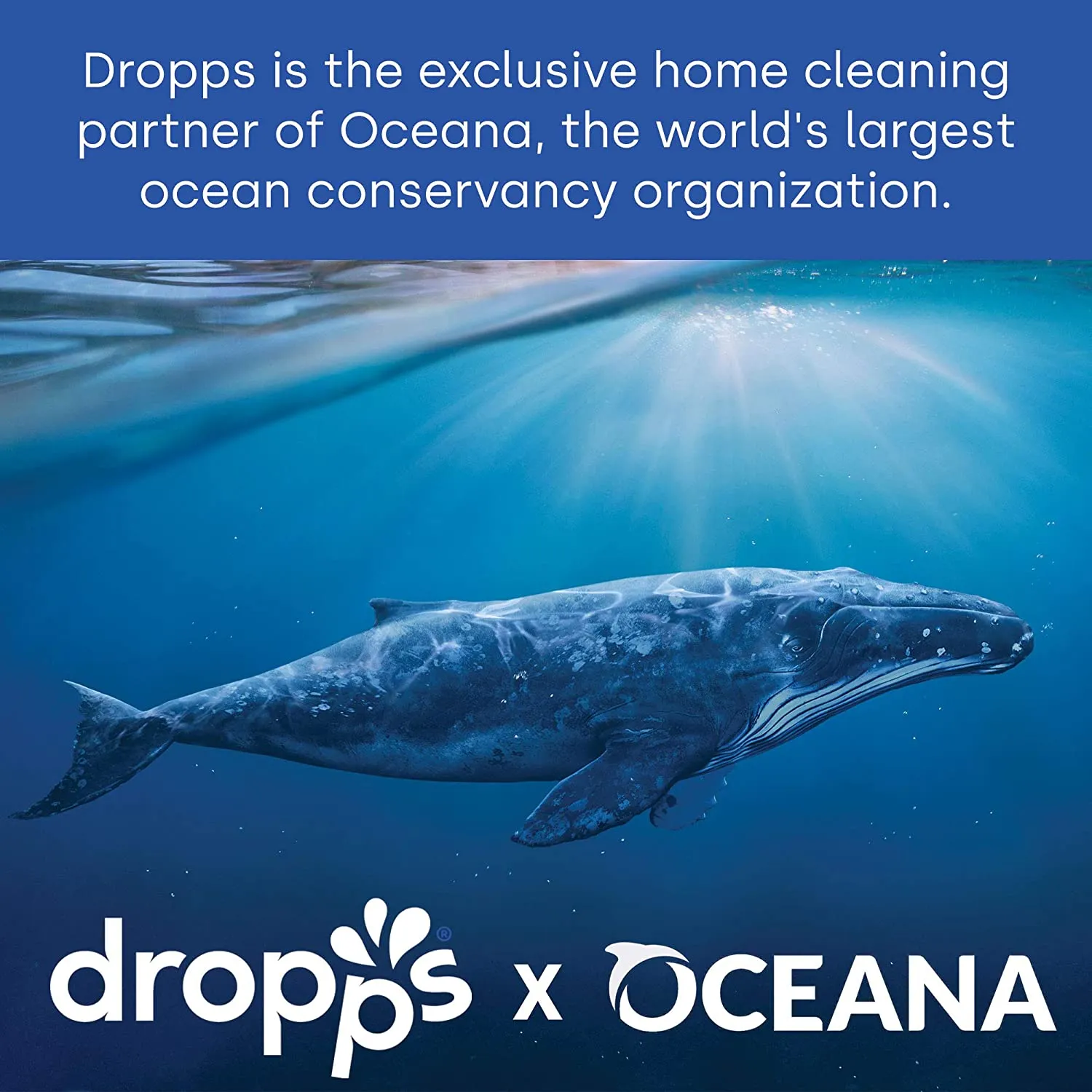 Laundry Detergent Pods, Natural Plant-Based Ingredients, Low Waste Packaging