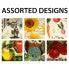 Wholesale 3 Pc fruit Assorted designs Kitchen Set
